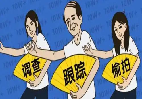 上海侦探取证：宅基地能作为夫妻共同财产分割吗
